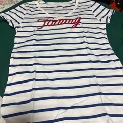 Tommyの画像