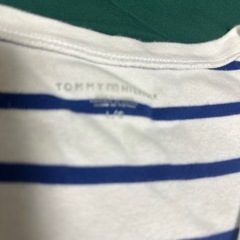 Tommyの画像