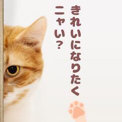 ゆるダイエット仲間募集中😊
