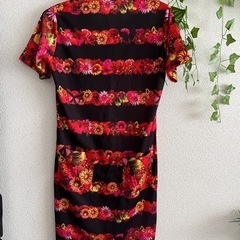 ダンスウィズドラゴンの画像