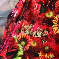 ダンスウィズドラゴンの画像