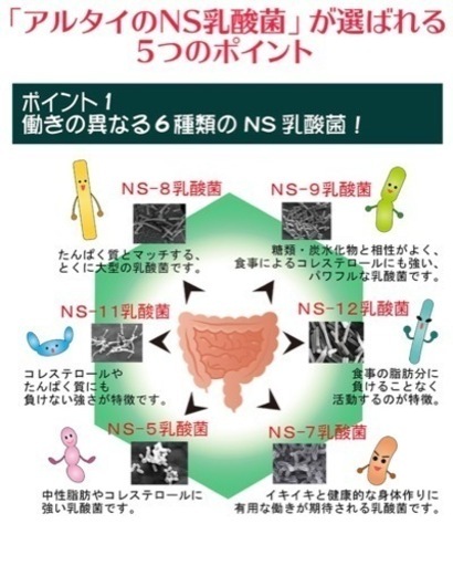 アルタイのNS乳酸菌　２袋セット　健康補助食品