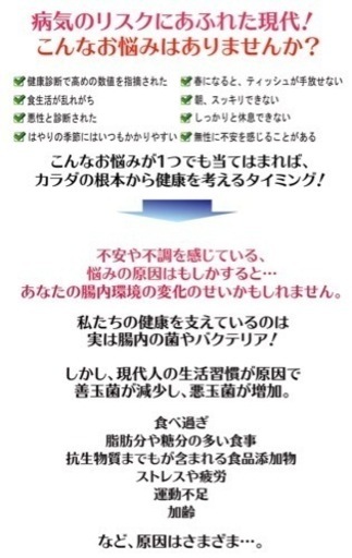 アルタイのNS乳酸菌　２袋セット　健康補助食品