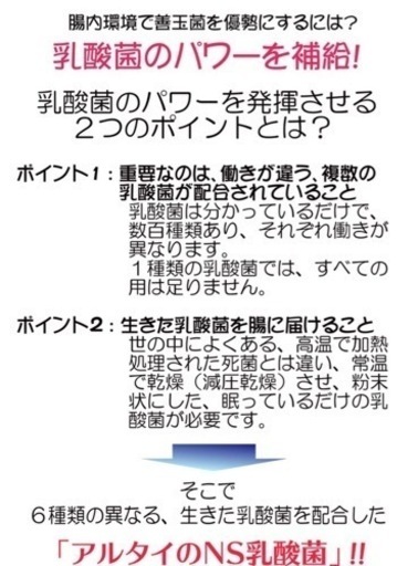 アルタイのNS乳酸菌　２袋セット　健康補助食品