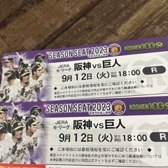 9/12（火）阪神VS巨人18:00〜ライト外野ペア！