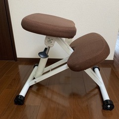 チェア　学習椅子　正座椅子　バランス椅子