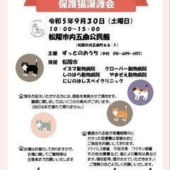 保護ネコ譲渡会
