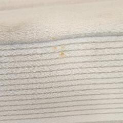 ヘルスウェーブの画像