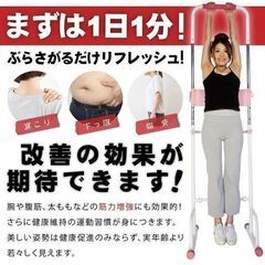 高槻わくわくフリマでも大人気！ぶら下り健康器　※引き取り限定※大...