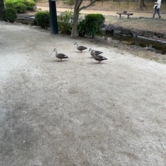 ママ友〜✨1歳と5歳のママです〜😎
