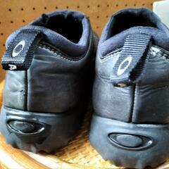 ナイキ-25.5の画像