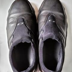 ナイキ-25.5の画像