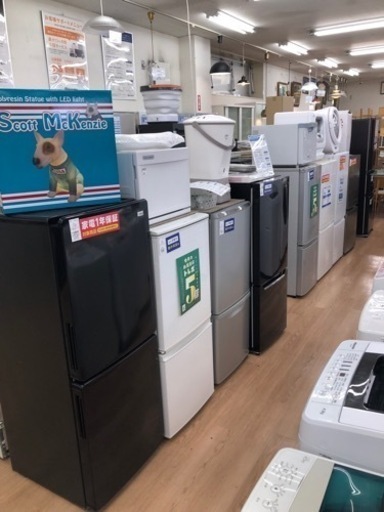Hisense 2ドア冷蔵庫