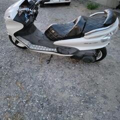 マジェスティ250Cの画像