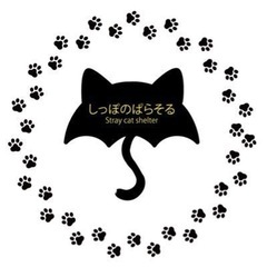 しっぽのパラソルボランティア仲間集まれ