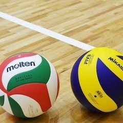 🏐バレーボールメンバー募集🏐