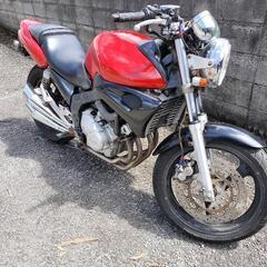【YAMAHA】ジール250　実働　カスタムベース