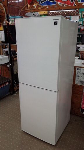 安心の除菌洗浄済シャープ 280L 2ドア冷蔵庫 保証有り【愛千143】
