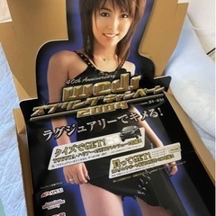 若槻千夏　スプリングキャンペーン2004 等身大POP 未組み立...