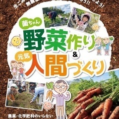 ■■ご実家のお庭のことで、 ご近所からクレームが来ていませんか？無料でお庭の草木切ります。 − 福岡県