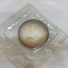 カナダ メイプルリーフ5ドル銀貨 1オンス エリザベス2世 1989年 33.6g(ケース込）の画像