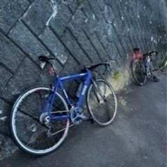 GIOS ALLITE フレームのみの画像