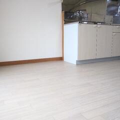 2DKダイイチスーパー横！初期費用、火災保険料のみ！入居月、家賃無料！ - 賃貸（マンション/一戸建て）