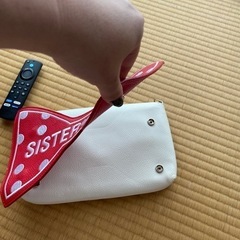 手持ちバックの画像