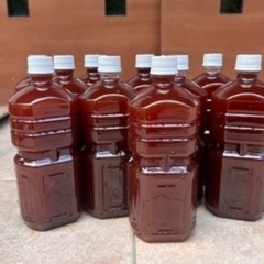 ➁PSB （光合成細菌）2ℓ500円