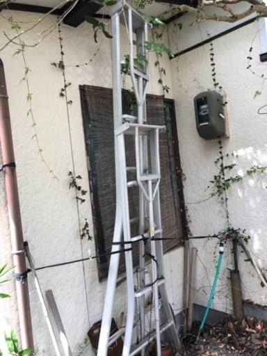 三脚脚立　２台セット　取りに来られる方