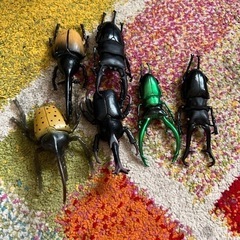 おもちゃ カブトムシ クワガタ