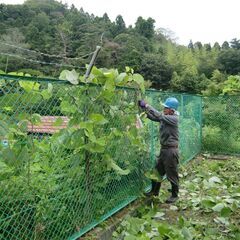 1級造園施工管理技士の資格者を募集します。