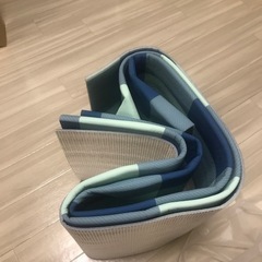 DCM レジャーシート　マット　キャンプの画像