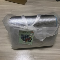 DCM レジャーシート　マット　キャンプの画像