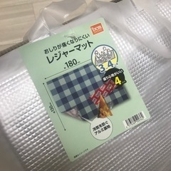 DCM レジャーシート　マット　キャンプの画像