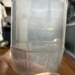 ぞうりむし　2リットルの画像