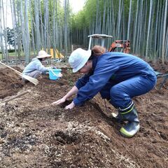 地域の活動に参加しませんか？　いろいろな活動があり、つながりができます