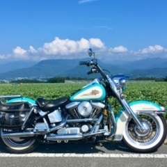平日走りましょう