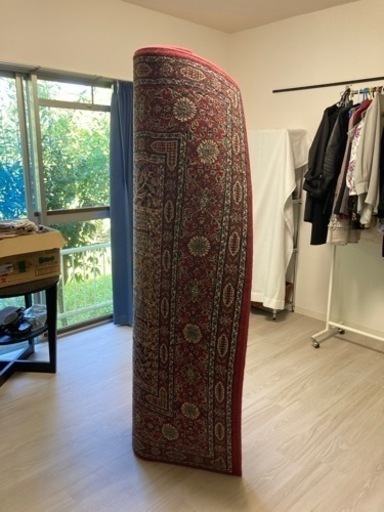 IKEAの大判ラグ　じゅうたん　170×230cm  ペルシャ柄