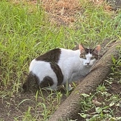誰か飲みましょ。 - 町田市