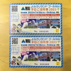 読売ランドプールWAI平日ご招待券2023 2枚　送料無料