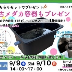 ⑮【第3回ご協賛めだかプレゼント企画】（⑮ミックスメダカ＆飼育容器セット）の画像