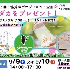 ⑮【第3回ご協賛めだかプレゼント企画】（⑮ミックスメダカ＆飼育容...
