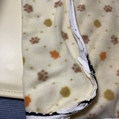 17800円→1000円❗️アイリスオーヤマ　ペットカーペット　3Lサイズ　角型の画像