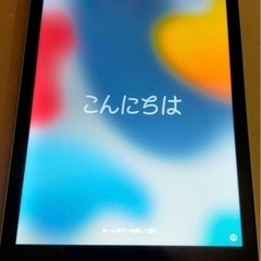 iPad air2 Celluar 16GB A1567  Apple