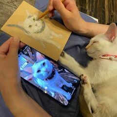 【9月22日（金）】池袋の保護猫カフェで「​猫のいる猫の絵教室」🐈の画像