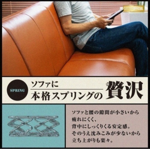 フランスベッド 最高級本革ソファーベッド ルーカス LUCAS