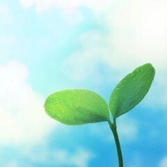 サービス管理責任者【要資格】 週1〜OK