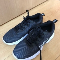 ほぼ新品　ワークマン　スニーカー　メンズ　レディース兼用　サイズ...