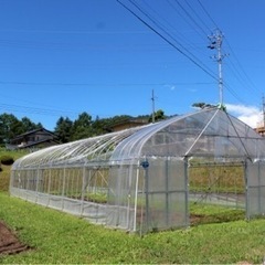 ビニールハウス　貸出